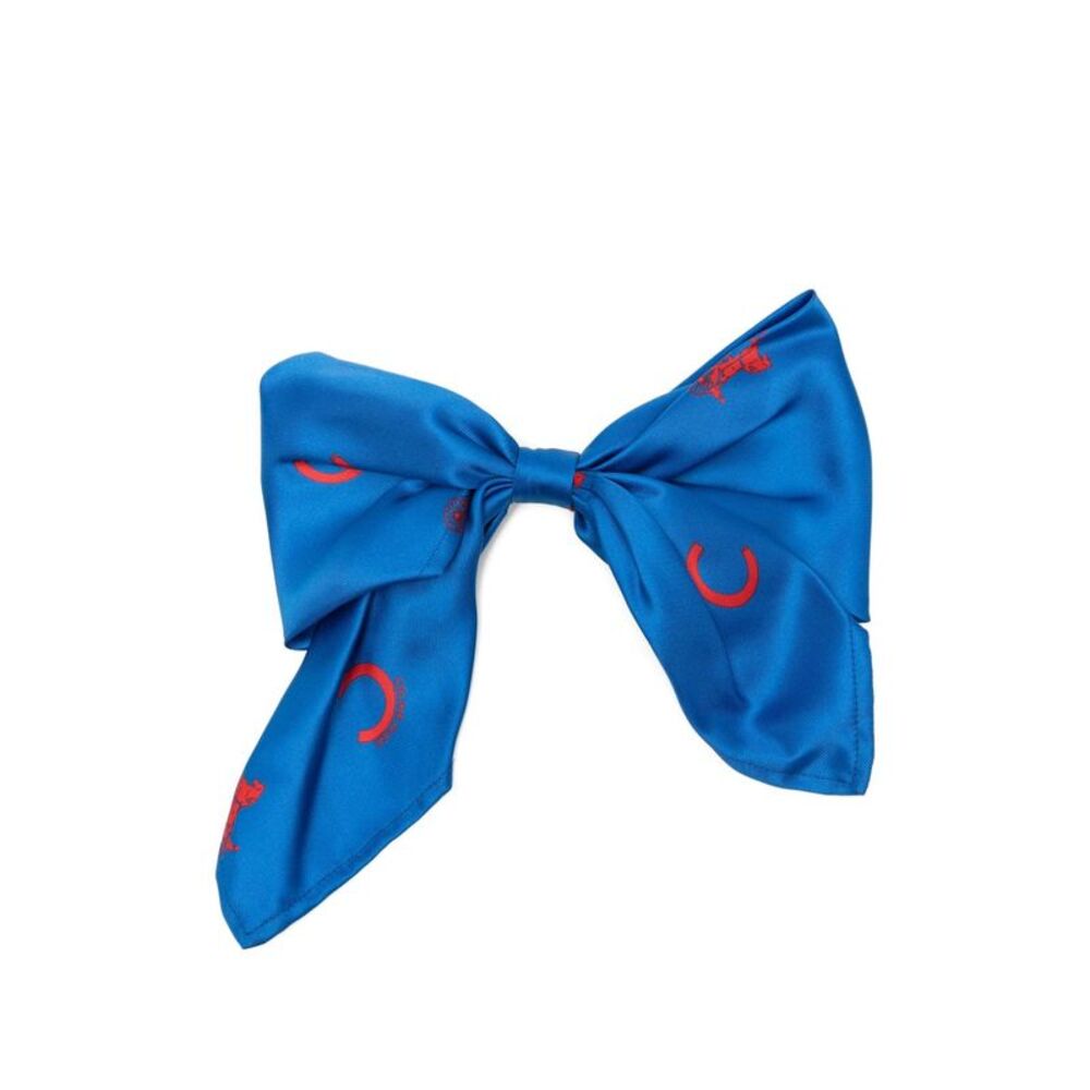 Celine Women Ribbon Hair Clip